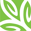 THE FOUNDATION FOR NORTHWEST IL logo