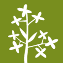 Forsythia Foundation Inc logo