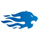 Fortem Information Technology logo