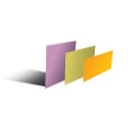 Fostering Executive Leadership logo