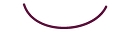 Fosters Traditional Foods Limited logo