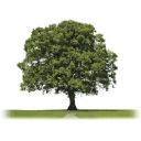 Foundations Human Resources Consulting logo
