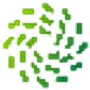 FOUREVERGREEN FOUNDATION INC logo