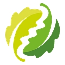 Four Oaks Financial Services Ltd logo