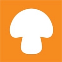 Logo for foursigmatic.com