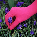 higarden (formerly Foxgloves)