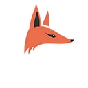 FoxMetrics