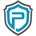 Prime Well Service Instrumentation logo