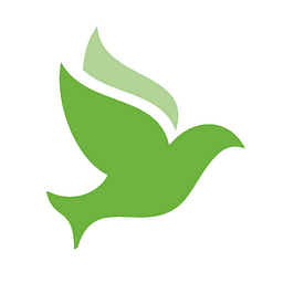 DBA Franciscan Children's logo