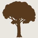 Frank Knight Foundation logo