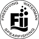 Favicon of FII