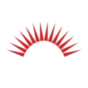 Freedom Debt Relief logo