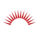Freedom Debt Relief logo