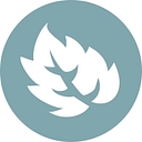 Freed Plastic Surgery logo