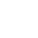 FREEPORT MCMORAN FOUNDATION logo