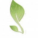 Fresco Environmental Limited logo