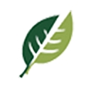 Fresh Connect logo