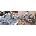 Fresh Frenzy