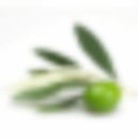 Fresh Pressed Olive Oil logo