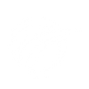 Fresno Council of Governments logo
