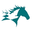 Friendship Veterinary Imaging Center