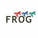Frog It Services Limited logo