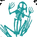 Frogbones Family Shooting Center logo