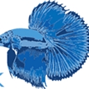 frozenfishfood.co.uk logo
