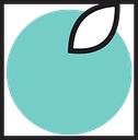 fruittoday.com logo