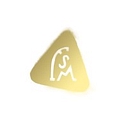 Fsm logo