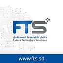 FTS, Inc. logo