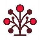 Full Circle Wine Solutions logo