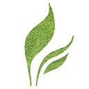Full Leaf Tea Company logo