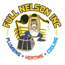 Full Nelson Services logo
