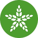 Fulton Brewing Company logo