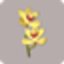 Armstrongs Independent Funeral Service logo