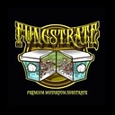 Fungstrate logo