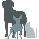 Fur Baby Pet Resort