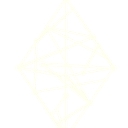 Future Insights Network logo