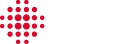 Fvs logo