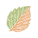 Botanical Research Institute Of Texas logo
