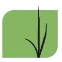 Ground FX Landscape Management logo