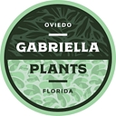 Gabriella Plants