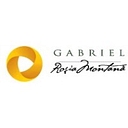 Gabriel Resources logo