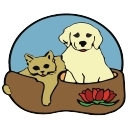 Guilderland Animal Hospital