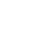 GALAXY INSURANCE CONSULTANTS PTE. LTD. logo