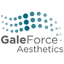 Gale Force Aesthetics logo