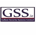 Gallant Security Systems logo