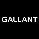 Gallant Sports logo