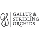 Gallup And Stribling Orchids, Inc. logo